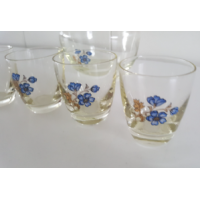 Karaf met 5 glaasjes